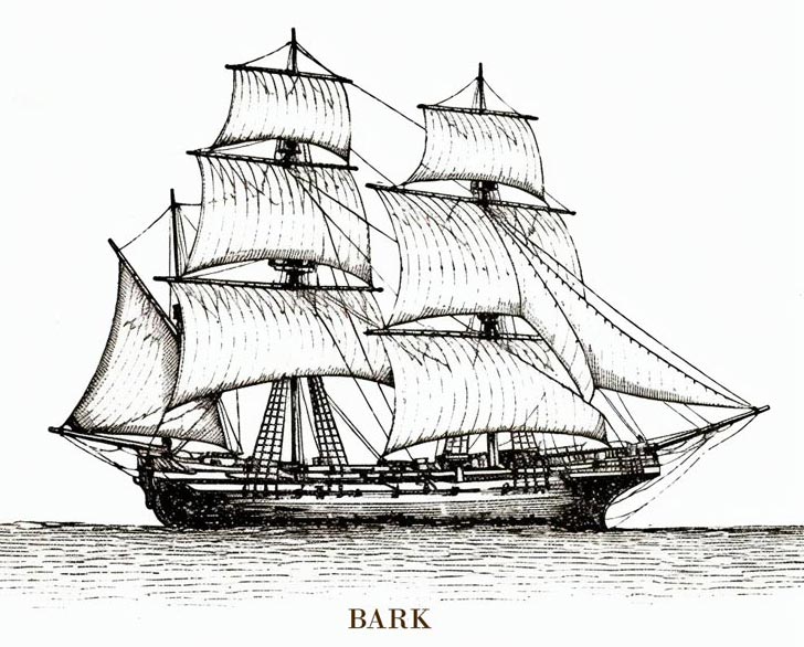 Bark-illustrasjon Illustrasjon av en Bark